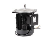 Электродвигатель RUF DYD-450, 450 Вт